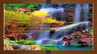 • Entre los principales aportes que realiza la embriología se cuentan: completar
el vacío que existe entre el desarrollo pre natal y la obstetricia, proporcionar
conocimientos importantes acerca del inicio de la vida humana y las
diferentes modificaciones que se van produciendo mientras ocurre el
desarrollo pre natal