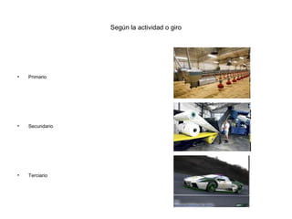 Según la actividad o giro




•   Primario




•   Secundario




•   Terciario
 
