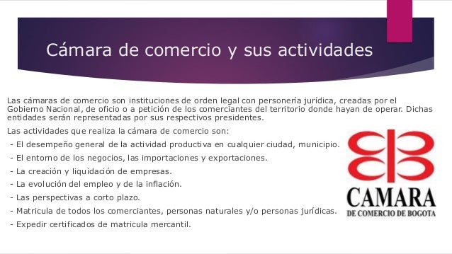 La empresa como unidad económica