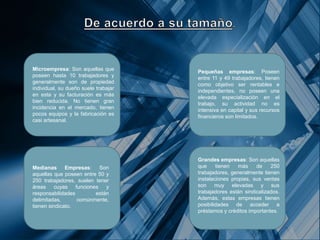 Microempresa: Son aquellas que
poseen hasta 10 trabajadores y
generalmente son de propiedad
individual, su dueño suele trabajar
en esta y su facturación es más
bien reducida. No tienen gran
incidencia en el mercado, tienen
pocos equipos y la fabricación es
casi artesanal.
Medianas Empresas: Son
aquellas que poseen entre 50 y
250 trabajadores, suelen tener
áreas cuyas funciones y
responsabilidades están
delimitadas, comúnmente,
tienen sindicato.
Pequeñas empresas: Poseen
entre 11 y 49 trabajadores, tienen
como objetivo ser rentables e
independientes, no poseen una
elevada especialización en el
trabajo, su actividad no es
intensiva en capital y sus recursos
financieros son limitados.
Grandes empresas: Son aquellas
que tienen más de 250
trabajadores, generalmente tienen
instalaciones propias, sus ventas
son muy elevadas y sus
trabajadores están sindicalizados.
Además, estas empresas tienen
posibilidades de acceder a
préstamos y créditos importantes.
 