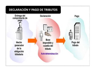 DECLARACIÓN Y PAGO DE TRIBUTOS 
 