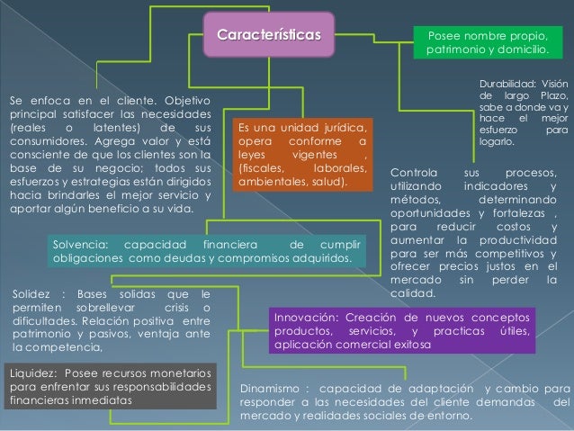 La empresa y sus caracteristicas