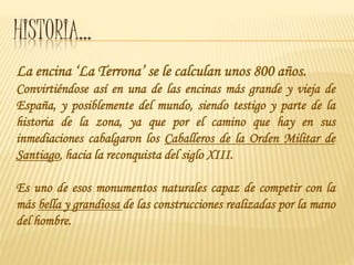 HISTORIA…
La encina ‘La Terrona’ se le calculan unos 800 años.
Convirtiéndose así en una de las encinas más grande y vieja de
España, y posiblemente del mundo, siendo testigo y parte de la
historia de la zona, ya que por el camino que hay en sus
inmediaciones cabalgaron los Caballeros de la Orden Militar de
Santiago, hacia la reconquista del siglo XIII.
Es uno de esos monumentos naturales capaz de competir con la
más bella y grandiosa de las construcciones realizadas por la mano
del hombre.
 