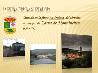 LA ENCINA TERRONA SE ENCUENTRA…
Situada en la finca La Dehesa, del término
municipal de Zarza de Montánchez
(Cáceres).
 