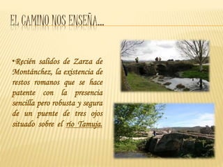 EL CAMINO NOS ENSEÑA…
•Recién salidos de Zarza de
Montánchez, la existencia de
restos romanos que se hace
patente con la presencia
sencilla pero robusta y segura
de un puente de tres ojos
situado sobre el río Tamuja.
 