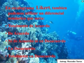 En escalograma Likert, tambien
podemos utilizar un diferencial
semántico que sería:
• Totalmente de Acuerdo
• De Acuerdo
• Ni de Acuerdo ni en Desacuerdo
• En Desacuerdo
• Totalmente en Desacuerdo
Antrop. Mercedes Torres
 