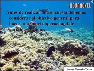 Antrop. Mercedes Torres
Antes de realizar una encuesta debemos
considerar al objetivo general para
hacer una matriz operacional de
variables. Veamos
 