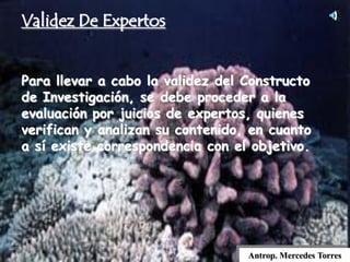 Validez De Expertos
Para llevar a cabo la validez del Constructo
de Investigación, se debe proceder a la
evaluación por juicios de expertos, quienes
verifican y analizan su contenido, en cuanto
a sí existe correspondencia con el objetivo.
Antrop. Mercedes Torres
 
