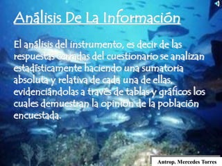Análisis De La Información
El análisis del instrumento, es decir de las
respuestas cerradas del cuestionario se analizan
estadísticamente haciendo una sumatoria
absoluta y relativa de cada una de ellas,
evidenciándolas a través de tablas y gráficos los
cuales demuestran la opinión de la población
encuestada.
Antrop. Mercedes Torres
 