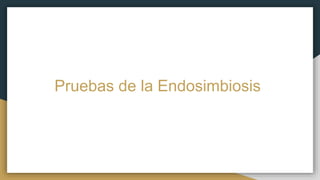 Pruebas de la Endosimbiosis
 