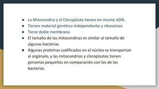 ● La Mitocondria y el Cloroplasto tienen en mismo ADN.
● Tienen material genético independiente y ribosomas
● Tiene doble membrana
● El tamaño de las mitocondrias es similar al tamaño de
algunas bacterias
● Algunas proteínas codificadas en el núcleo se transportan
al orgánulo, y las mitocondrias y cloroplastos tienen
genomas pequeños en comparación con los de las
bacterias
 