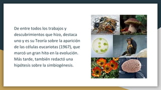 De entre todos los trabajos y
descubrimientos que hizo, destaca
uno y es su Teoría sobre la aparición
de las células eucariotas (1967), que
marcó un gran hito en la evolución.
Más tarde, también redactó una
hipótesis sobre la simbiogénesis.
 