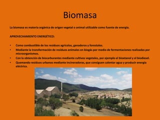 Biomasa
La biomasa es materia orgánica de origen vegetal o animal utilizable como fuente de energía.

APROVECHAMIENTO ENERGÉTICO:

•   Como combustible de los residuos agrícolas, ganaderos y forestales.
•   Mediante la transformación de residuos animales en biogás por medio de fermentaciones realizadas por
    microorganismos.
•   Con la obtención de biocarburantes mediante cultivos vegetales, por ejemplo el bioetanol y el biodiesel.
•   Quemando residuos urbanos mediante incineradoras, que consiguen calentar agua y producir energía
    eléctrica.
 