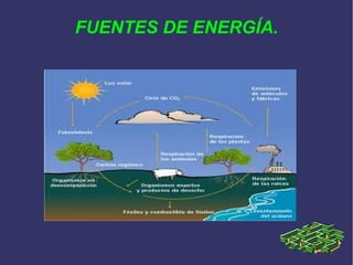FUENTES DE ENERGÍA.
 