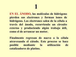 EN EL ÁNODO , las moléculas de hidrógeno pierden sus electrones y forman iones de hidrógeno. Los electrones salen de la célula a través del ánodo, recorriendo un circuito externo y produciendo algún trabajo útil, como el de arrancar un motor. Finalmente regresan de nuevo a la célula atravesando el cátodo. Este proceso se hace posible mediante la utilización de catalizadores de platino. 1 