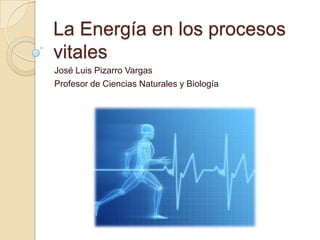 La Energía en los procesos
vitales
José Luis Pizarro Vargas
Profesor de Ciencias Naturales y Biología
 