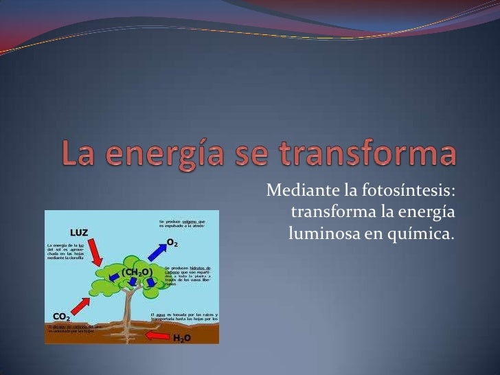 La energía se transforma damian La energía se transforma damian