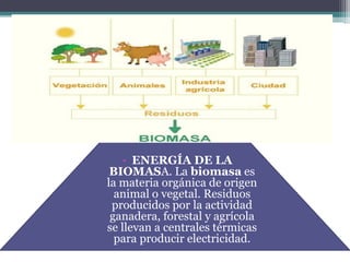 • ENERGÍA DE LA
 BIOMASA. La biomasa es
la materia orgánica de origen
  animal o vegetal. Residuos
 producidos por la actividad
 ganadera, forestal y agrícola
se llevan a centrales térmicas
  para producir electricidad.
 
