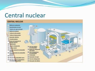 Central nuclear