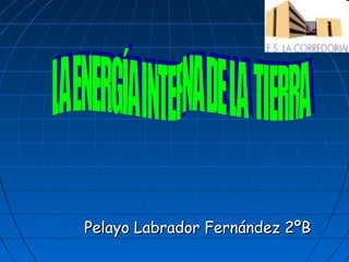 Pelayo Labrador Fernández 2ºB
 