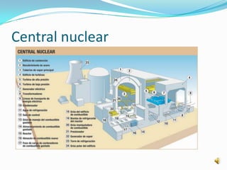 Central nuclear