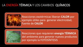LA ENERGÍA TÉRMICA Y LOS CAMBIOS QUÍMICOS
Reacciones exotérmicas liberan CALOR por
ejemplo útiles para generar electricidad,
fuente de CALOR
Reacciones que requieren energía TÉRMICA
del ambiente para generar nuevos productos
por ejemplo la FOTOSÍNTESIS
 