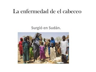 La enfermedad de el cabeceo

       Surgió en Sudán.
 