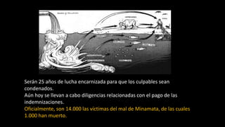 Serán 25 años de lucha encarnizada para que los culpables sean
condenados.
Aún hoy se llevan a cabo diligencias relacionadas con el pago de las
indemnizaciones.
Oficialmente, son 14.000 las víctimas del mal de Minamata, de las cuales
1.000 han muerto.
