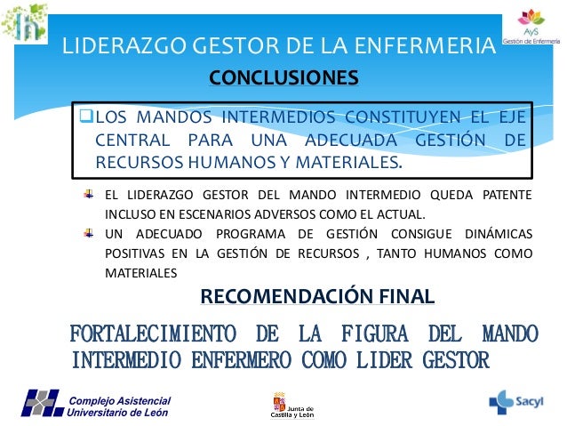 La enfermeria y su capacidad para la gestion, Liderazgo