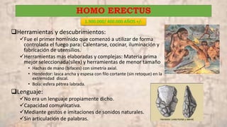 HOMO ERECTUS
1.900.000/ 400.000 AÑOS +/-
Herramientas y descubrimientos:
Fue el primer homínido que comenzó a utilizar de forma
controlada el fuego para: Calentarse, cocinar, iluminación y
fabricación de utensilios.
Herramientas mas elaboradas y complejas: Materia prima
mejor seleccionada(sílex) y herramientas de menor tamaño
• Hachas de mano (bifaces) con simetría axial.
• Hendedor: lasca ancha y espesa con filo cortante (sin retoque) en la
extremidad discal.
• Bola: esfera pétrea labrada.
Lenguaje:
No era un lenguaje propiamente dicho.
Capacidad comunicativa.
Mediante gestos e imitaciones de sonidos naturales.
Sin articulación de palabras.
 