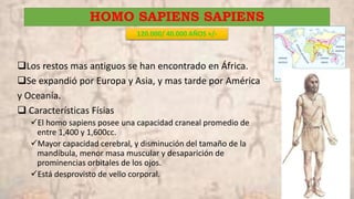 HOMO SAPIENS SAPIENS
120.000/ 40.000 AÑOS +/-
Los restos mas antiguos se han encontrado en África.
Se expandió por Europa y Asia, y mas tarde por América
y Oceanía.
 Características Físias
El homo sapiens posee una capacidad craneal promedio de
entre 1,400 y 1,600cc.
Mayor capacidad cerebral, y disminución del tamaño de la
mandíbula, menor masa muscular y desaparición de
prominencias orbitales de los ojos.
Está desprovisto de vello corporal.
 