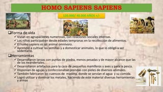 HOMO SAPIENS SAPIENS
120.000/ 40.000 AÑOS +/-
Forma de vida
Vivían en agrupaciones numerosas, con relaciones sociales intensas.
Los niños participaban desde edades tempranas en la recolección de alimentos.
El homo sapiens es un animal omnívoro.
Aprendió a cultivar las semillas y a domesticar animales, lo que lo obligó a ser
sedentario.
Herramientas
Desarrollaron lanzas con puntas de piedra, menos pesadas y de mayor alcance que las
de los neandertales.
Desarrollaron artefactos para la caza de pequeños mamíferos y aves y para la pesca.
Disponían de agujas y confeccionaban prendas con pieles de diversos animales.
También fabricaron los cuencos de madera, donde se servían el agua y su comida.
Logró utilizar y dominar los metales, haciendo de este material diversas herramientas
y armas
 