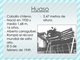 Huaso
o Caballo chileno.       o   2,47 metros de
o Nació en 1933 y            altura.
  medía 1,68 m.
o 16 años.
o Alberto Larraguibel.
o Rompió el récord
  mundial de salto
  alto.
o El 5 de
  febrero de 1949.
 