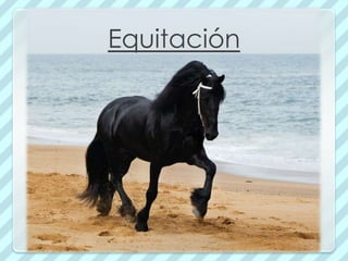 Equitación
 