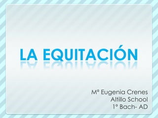 Mª Eugenia Crenes
      Altillo School
      1º Bach- AD
 