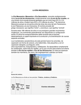 LA ERA MESOZOICA
La Era Mesozoica, Mesozoico o Era Secundaria, conocida zoológicamente
como la era de los dinosaurios o botánicamente como la era de las cícadas, es
una división de la escala temporal geológica que se inició hace 251,0 ± 0,4
millones de años y finalizó hace 65,5 ± 0,3 millones de años.23
Se denomina
Mesozoico porque se encuentra entre las otras dos eras del eón Fanerozoico,
la era Paleozoica y la era Cenozoica. El nombre procede del
griego meso/μεσο, que significa "entre", y zoon/ζωον, que significa "animal".
Durante estos 186 millones de años no se produjeron grandes movimientos
orogénicos. Los continentes gradualmente van adquiriendo su configuración
actual. El clima fue excepcionalmente cálido durante todo el período,
desempeñando un papel importante en la evolución y la diversificación de nuevas
especies animales.
Los invertebrados característicos de este período fueron los amonites, de
caparazón con forma de caracol, y los belemnites, más pequeños y con el
caparazón alargado y puntiagudo, entre
otros equinodermos, braquiópodos y cefalópodos. Se desarrollaron ampliamente
los vertebrados, sobre todo los reptiles, por lo que a la Era Secundaria se le llama
también la Era de los reptiles o Era de los Dinosaurios. En esta era aparecen
también los mamíferos, las aves y las angiospermas o plantas con flores.
Escena del Jurásico.
La Era Mesozoica se divide en tres periodos: Triásico, Jurásico y Cretácico.
Era
Erate
ma
Perio
do
Siste
ma
Époc
a
Serie
Edad
Piso
Eventos relevantes
Inicio
, en
millo
nes
de
años
 
