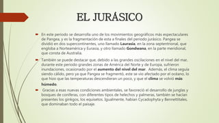 EL JURÁSICO
 En este periodo se desarrolla uno de los movimientos geográficos más espectaculares
de Pangea, y es la fragmentación de esta a finales del periodo jurásico. Pangea se
dividió en dos supercontinentes, uno llamado Laurasia, en la zona septentrional, que
engloba a Norteamérica y Eurasia, y otro llamado Gondwana, en la parte meridional,
que consta de Australia.
 También se puede destacar que, debido a las grandes oscilaciones en el nivel del mar,
durante este periodo grandes zonas de América del Norte y de Europa, sufrieron
inundaciones, ocasionado por el aumento del nivel del mar. Además, el clima seguía
siendo cálido, pero ya que Pangea se fragmentó, este se vio afectado por el océano, lo
que hizo que las temperaturas descendieran un poco, y que el clima se volvió más
húmedo.
 Gracias a esas nuevas condiciones ambientales, se favoreció el desarrollo de junglas y
bosques de coníferas, con diferentes tipos de helechos y palmeras, también se hacían
presentes los ginkgos, los equisetos. Igualmente, habían Cycadophyta y Bennettitales,
que dominaban todo el paisaje.
 