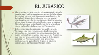  Al mismo tiempo, aparecen las primeras aves de pequeño
tamaño, pero los Pterosaurios, que venían de la familia de
los reptiles, pero no eran dinosaurios, eran los reyes de
los cielos. Estos se alimentaban de peces, y poseían
grandes picos con dientes puntiagudos. Los Pterosaurios
dieron lugar al grupo pterodactiloideos, que se destaca a
Pterodactylus, que tenían la cola más corta, una cabeza
mayor y el cuello más largo que los Pterosaurios.
 Del mismo modo, los peces con los reptiles eran las
formas de vida más evolucionadas. Los Ictiosaurios
compartían los mares con los primeros cocodrilos, los
cuales tenían aletas en vez de patas, y con los Teleósteos,
que eran los predecesores de la mayoría de los peces
actuales. Los Plesiosaurios, son otro grupo muy
destacado, pero que estos no llegaron al siguiente
escalón, junto con los cocodrilos con aletas.
EL JURÁSICO
 