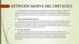 EXTINCIÓN MASIVA DEL CRETÁCICO
El único problema que quedaba en la hipótesis Álvarez era que según el registro fósil
esta gran extinción duró cerca de 10 millones de años, lo cual no cuadraba con que se
hubiera producido por el impacto de un meteorito. De todas formas, la polémica continua,
ya que no se sabe si fue una extinción catastrófica o una gradual durante 10 millones de
años.
 Teoría de los múltiples impactos
Esta teoría tiene un parecido con la hipótesis Álvarez ya que también habla de que la
causa de la extinción fue el impacto de un meteorito, pero en este caso, se habla de que
ese meteorito se fragmentó al llegar a la Tierra o que se produjo el impacto de varios
meteoritos. Como posibles cráteres, a parte del cráter de Chicxulub, podrían ser el cráter de
Silverpit (Reino Unido) y el cráter Shiva (La India).
 Los traps del Decán
La gran actividad volcánica que produjo los traps del Decán, en la India, se ha
considerado una posible causa de la extinción. Hay varias maneras por las que la intensa
actividad volcánica fuera la causa de la extinción, la expulsión de polvo y gases a la
atmósfera disminuyeron la entrada de luz, lo que produjo serias dificultades en la
fotosíntesis y en el enfriamiento de la Tierra, lo que finalmente produciría un efecto
invernadero.
 