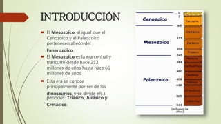 INTRODUCCIÓN
 El Mesozoico, al igual que el
Cenozoico y el Paleozoico
pertenecen al eón del
Fanerozoico.
 El Mesozoico es la era central y
trancurre desde hace 252
millones de años hasta hace 66
millones de años.
 Esta era se conoce
principalmente por ser de los
dinosaurios, y se divide en 3
periodos: Triásico, Jurásico y
Cretácico.
 