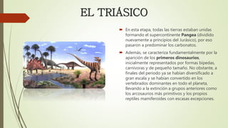 EL TRIÁSICO
 En esta etapa, todas las tierras estaban unidas
formando el supercontinente Pangea (dividido
nuevamente a principios del Jurásico), por eso
pasaron a predominar los carbonatos.
 Además, se caracteriza fundamentalmente por la
aparición de los primeros dinosaurios,
inicialmente representados por formas bípedas,
carnívoras y de pequeño tamaño. No obstante, a
finales del periodo ya se habían diversificado a
gran escala y se habían convertido en los
vertebrados dominantes en todo el planeta,
llevando a la extinción a grupos anteriores como
los arcosaurios más primitivos y los propios
reptiles mamiferoides con escasas excepciones.
 