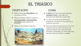 VEGETACIÓN
 Plantas del grupo Dicroidium eran
comunes en tierra.
 Muchos grandes anfibios acuáticos
temnospóndilos. Ammonoideos
ceratíticos extremadamente
comunes.
 Aparecen los corales modernos.
CLIMA
 El clima del Triásico fue generalmente
caluroso y seco, y dio lugar a la
formación de desiertos y evaporitas.
 Su clima continental era altamente
estacional, con veranos muy calurosos e
inviernos muy fríos.
 No hay evidencia de glaciación cerca o en
cualquiera de los polos; de hecho, las
regiones polares eran aparentemente
húmedas y templadas, un clima adecuado
para las criaturas similares a reptiles.
EL TRIÁSICO
 