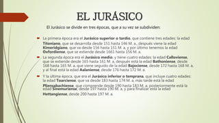 EL JURÁSICO
 La primera época era el Jurásico superior o tardío, que contiene tres edades: la edad
Titoniano, que se desarrolla desde 151 hasta 146 M. a., después viene la edad
Kimeridgiano, que va desde 156 hasta 151 M. a, y por último tenemos la edad
Oxfordiense, que se extiende desde 1661 hasta 156 M. a.
 La segunda época era el Jurásico medio, y tiene cuatro edades: la edad Calloviense,
que se extiende desde 165 hasta 161 M. a, después está la edad Bathoniense, desde
168 hasta 165 M. a, que viene seguido de la edad Bajociense, desde 172 hasta 168 M. a,
y al final está la edad Aalaniense, desde 176 hasta 172 M. a.
 Y la última época, que era el Jurásico inferior o temprana, que incluye cuatro edades:
la edad Toarciense, que va desde 183 hasta 174 M. a, más tarde está la edad
Pliensabachiense, que comprende desde 190 hasta 183 M. a, posteriormente está la
edad Sinemuriense, desde 197 hasta 190 M. a, y para finalizar está la edad
Hettangiense, desde 200 hasta 197 M. a.
El Jurásico se divide en tres épocas, que a su vez se subdividen:
 