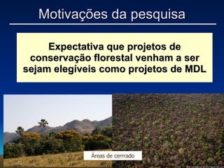 Expectativa que projetos de conservação florestal venham a ser sejam elegíveis como projetos de MDL Áreas de cerrrado Motivações da pesquisa 