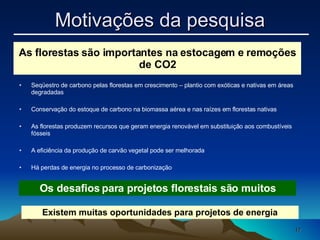 Seqüestro de carbono pelas florestas em crescimento – plantio com exóticas e nativas em áreas degradadas Conservação do estoque de carbono na biomassa aérea e nas raízes em florestas nativas As florestas produzem recursos que geram energia renovável em substituição aos combustíveis fósseis A eficiência da produção de carvão vegetal pode ser melhorada Há perdas de energia no processo de carbonização As florestas são importantes na estocagem e remoções de CO2 Os desafios para projetos florestais são muitos Existem muitas oportunidades para projetos de energia Motivações da pesquisa 