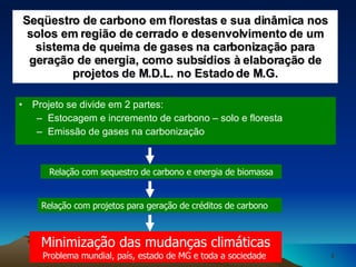 Projeto se divide em 2 partes: Estocagem e incremento de carbono – solo e floresta Emissão de gases na carbonização Seqüestro de carbono em florestas e sua dinâmica nos solos em região de cerrado e desenvolvimento de um sistema de queima de gases na carbonização para geração de energia, como subsídios à elaboração de projetos de M.D.L. no Estado de M.G. Relação com sequestro de carbono e energia de biomassa Relação com projetos para geração de créditos de carbono Minimização das mudanças climáticas Problema mundial, país, estado de MG e toda a sociedade  