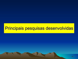 Principais pesquisas desenvolvidas 