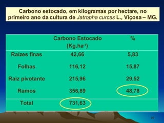 Carbono estocado, em kilogramas por hectare, no primeiro ano da cultura de  Jatropha curcas  L., Viçosa – MG. Carbono Estocado (Kg.ha -1 ) % Raízes finas 42,66 5,83 Folhas 116,12 15,87 Raiz pivotante 215,96 29,52 Ramos 356,89 48,78 Total 731,63 