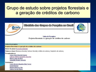 Grupo de estudo sobre projetos florestais e a geração de créditos de carbono 