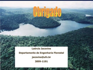 Obrigado Laércio Jacovine Departamento de Engenharia Florestal [email_address] 3899-1191 